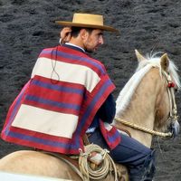 jocheignavarrete