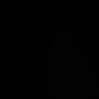 17.ferxz1