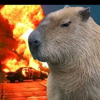 capybara.clut