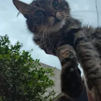 original sound - m_luz.123