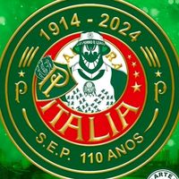 fernando.palmerense.ms