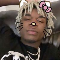 vexo18