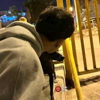 fernansv31