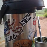 o_tal_do_terere