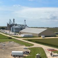 use this sound if you like lil kids