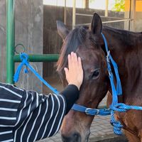 original sound - Dapur Puan