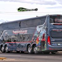 paparazzibus507