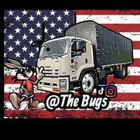 thebugs528