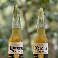 original sound - albrod989