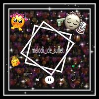 melodi._.de_suflet