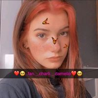 ..fan._.charli._.damelio