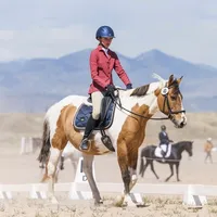 original sound - bcs_equestrian