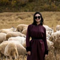 arfa131khangmail.com