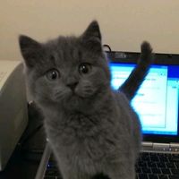 original sound - Your reactions ✨