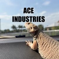 ace_industrie_trailmaker