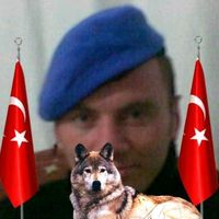 orijinal ses