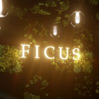 ficus.trujillo