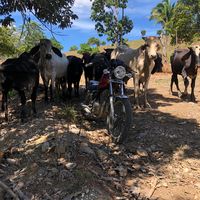 estuardolinares01