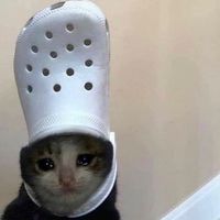 amandatemplh
