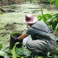 ginhodaselva.aventuras