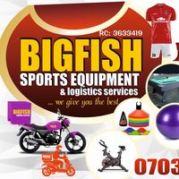 bigfishsports001