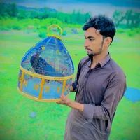 original sound - itx_khang1