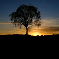 original sound - aly.status