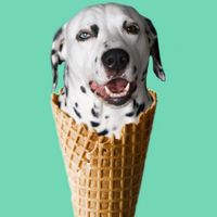 billyodalmata