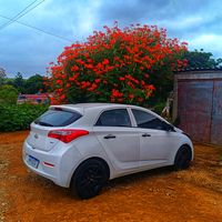 luizcarllosdasilva20