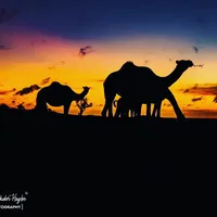 hadu dhugato geel qaba