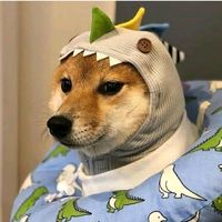 thedinnho