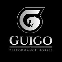 guigoperformancehorses