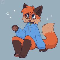luckyfox005
