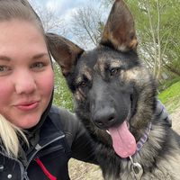 vanessa_gsd