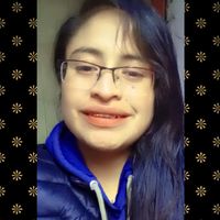 vidagris2