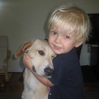 original sound - jakey wakie