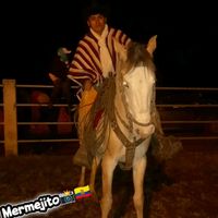 mermejiito