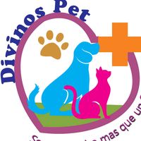 divinos_pet