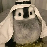 original sound - 9orge0u5