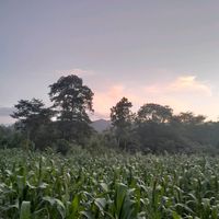 ceciagonzales_