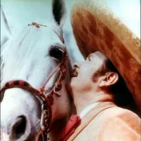 original sound - elizabethgimon21