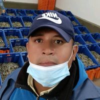 josenaranjo242