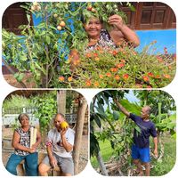 เสียงต้นฉบับ - Prathamshop88