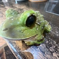frogpondscafe