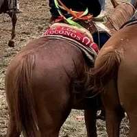 original sound - sarmiento_219