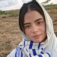 prophethadycastillord