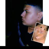 andres.4t