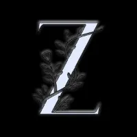 original sound - zealclothingbusiness