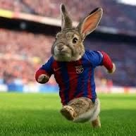 yerry.llivi