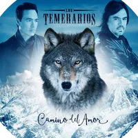 original sound - los.temerarios.oficial5